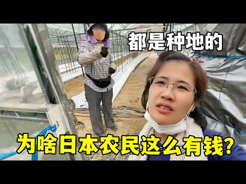 澳网首日赛,程揭晓,郑钦文领衔,万博manbetx体育平台,万博体育官网,万博体育app下载,ManBetX,SPORTS